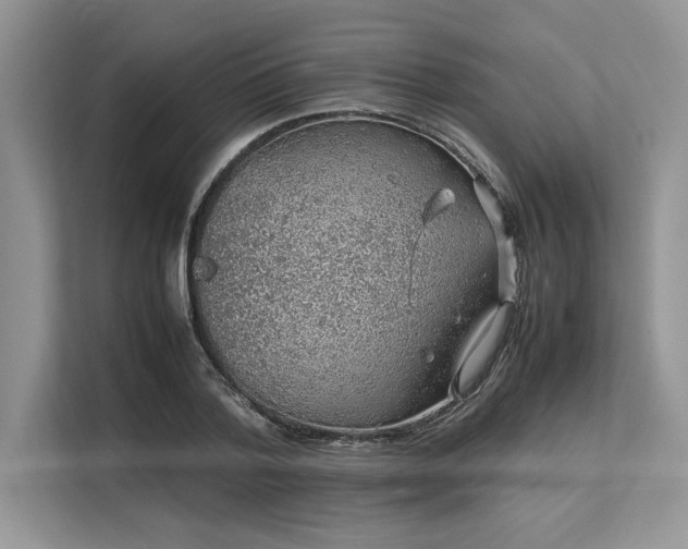 X0000113310788200909211141