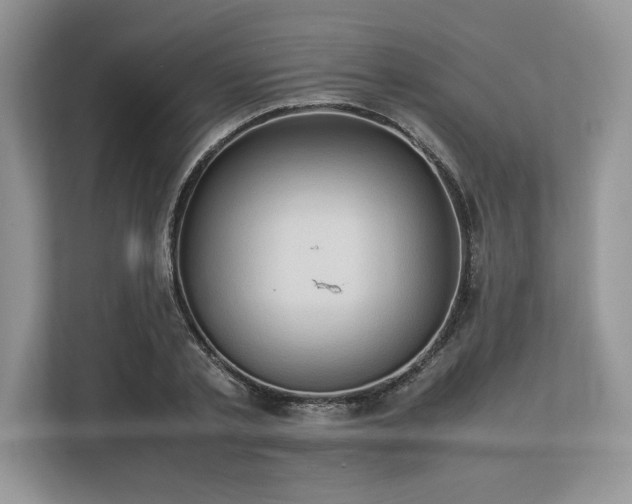 X0000113310789200909211141