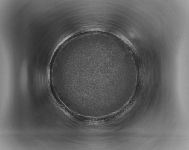 X0000113310790200909211141