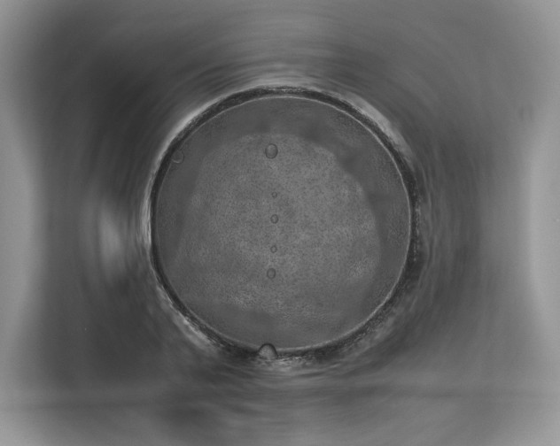 X0000113310791200909211141