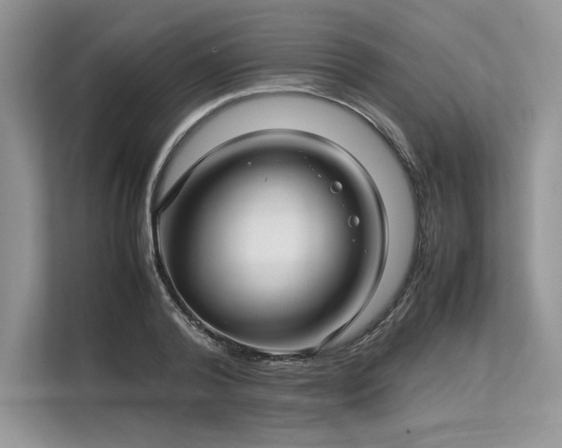 X0000113310792200909211141