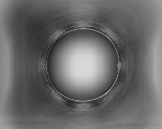 X0000113310793200909211141