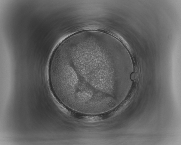 X0000113310795200909211141