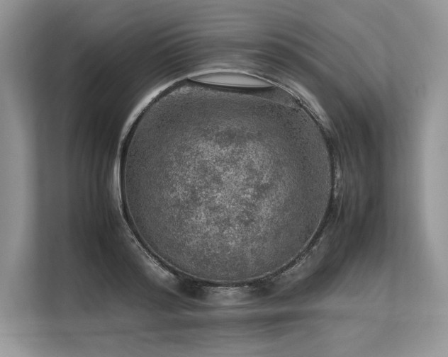 X0000113310796200909211141