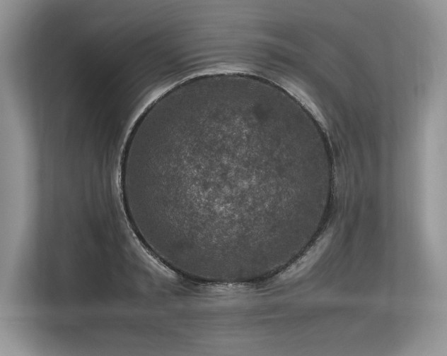 X0000113310797200909211141