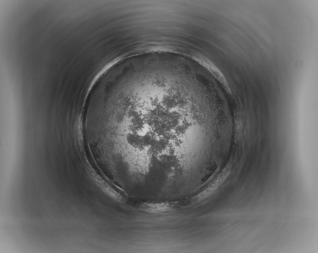 X0000113310798200909211141