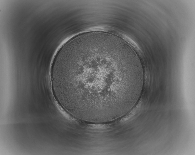 X0000113310800200909211141