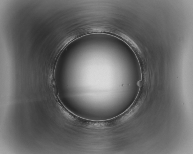 X0000113310801200909211141