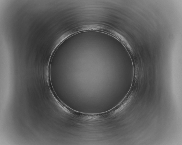 X0000113310802200909211141