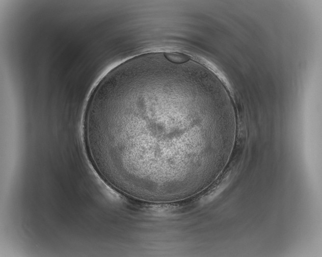 X0000113310803200909211141