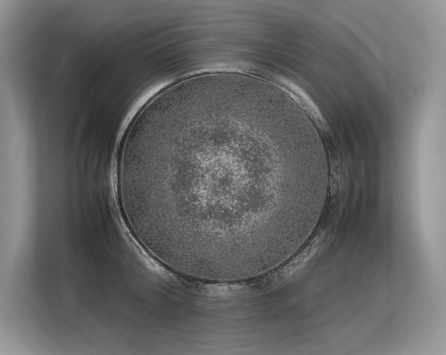 X0000113310804200909211141