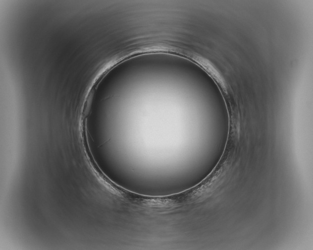 X0000113310805200909211141