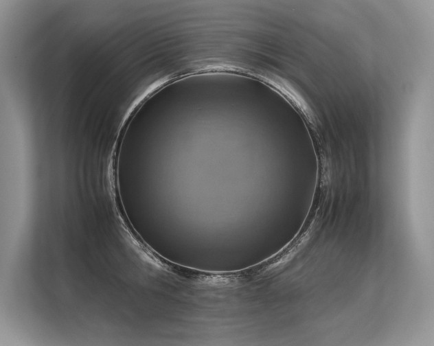 X0000113310806200909211141