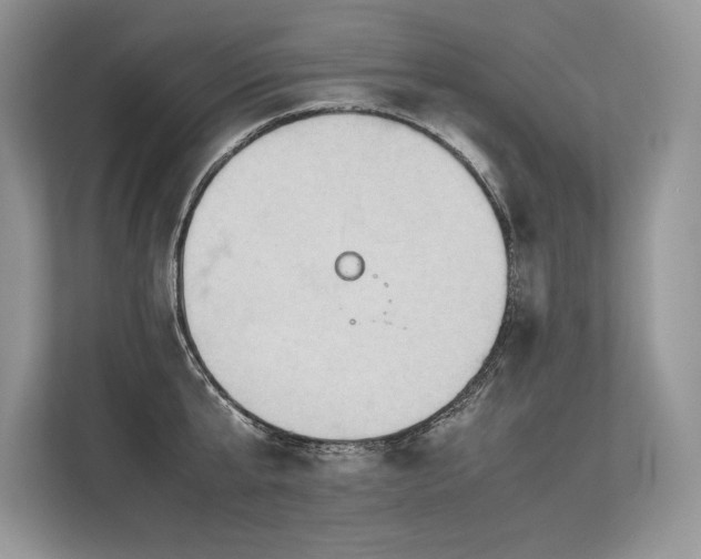 X0000113310807200909211141