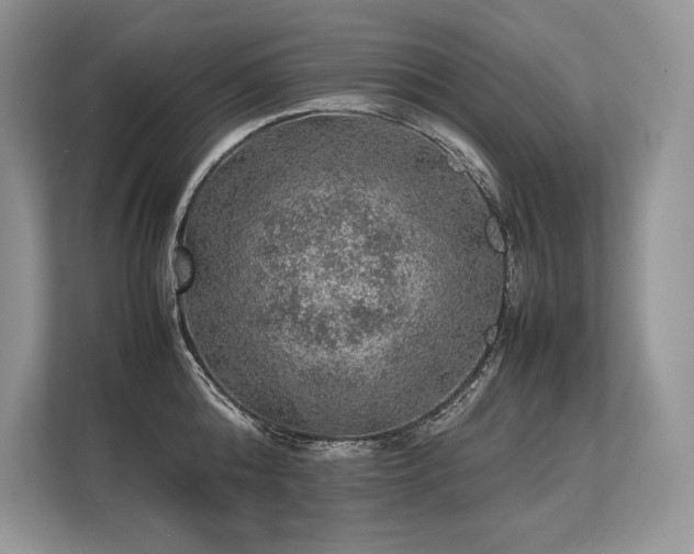 X0000113310808200909211141