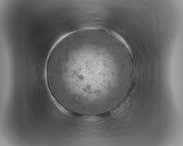 X0000113310811200909211141