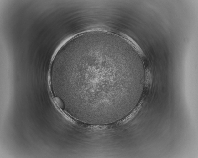 X0000113310812200909211141