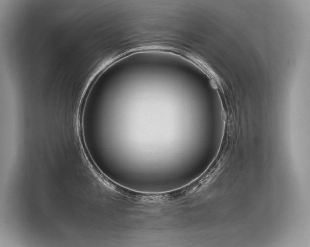 X0000113310813200909211141