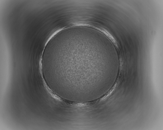 X0000113310814200909211141