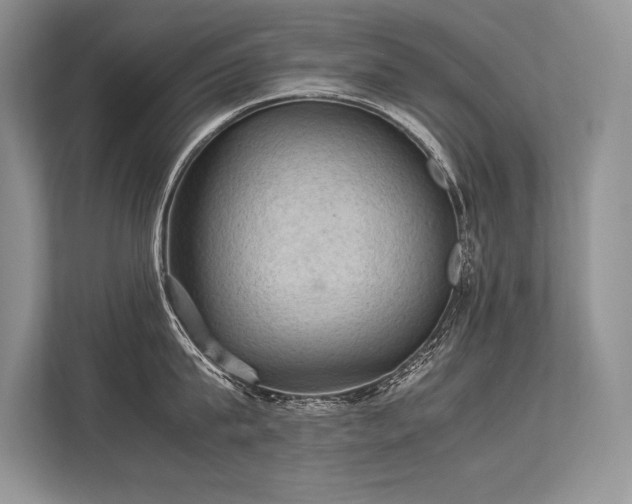 X0000113310815200909211141