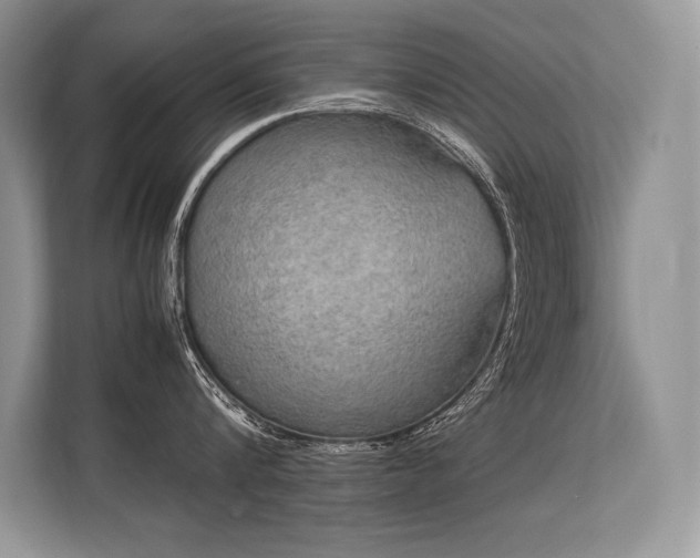 X0000113310816200909211141