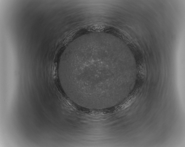 X0000113310818200909211140