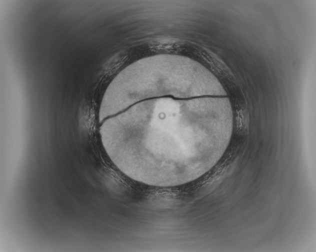 X0000113310820200909211140