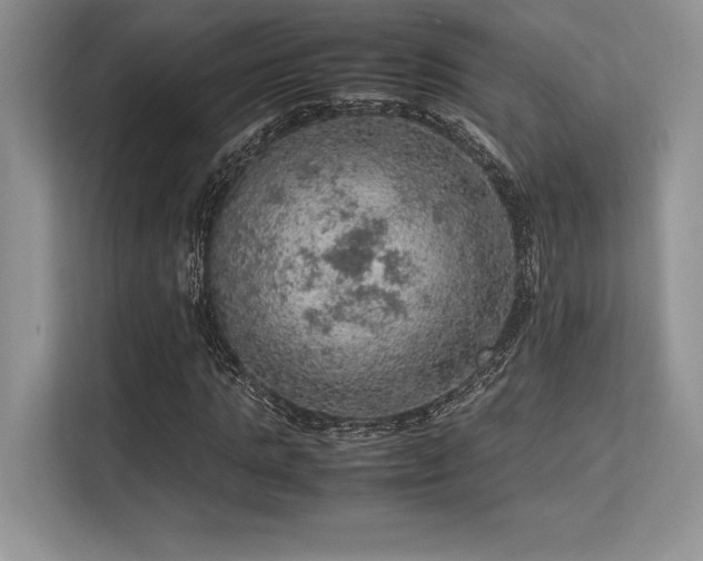 X0000113310821200909211140