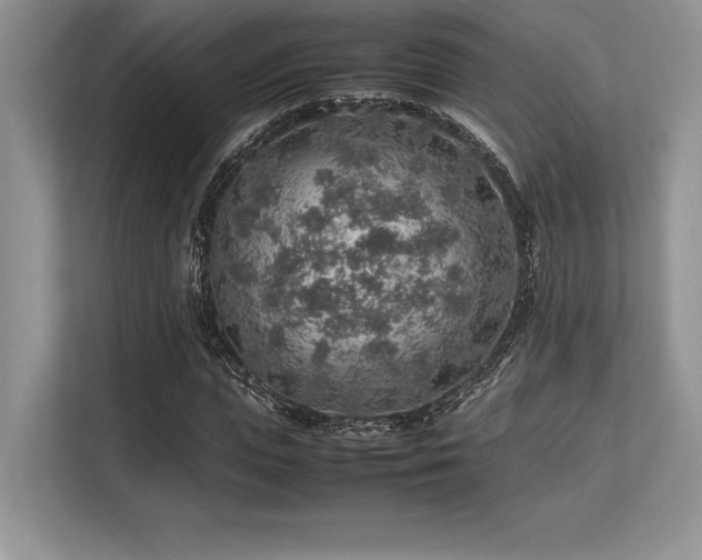 X0000113310823200909211140