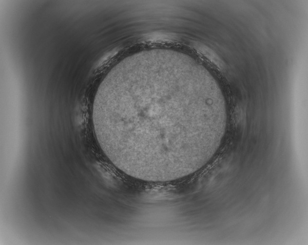 X0000113310824200909211140