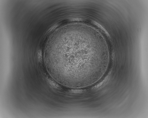 X0000113310825200909211140