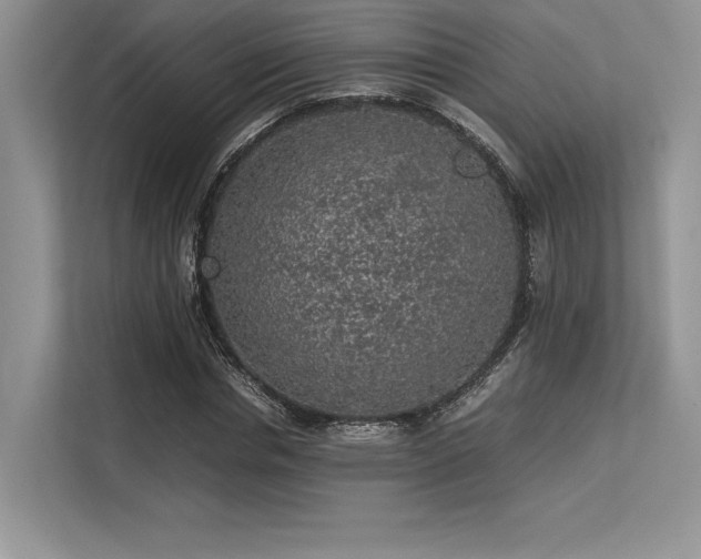 X0000113310826200909211140