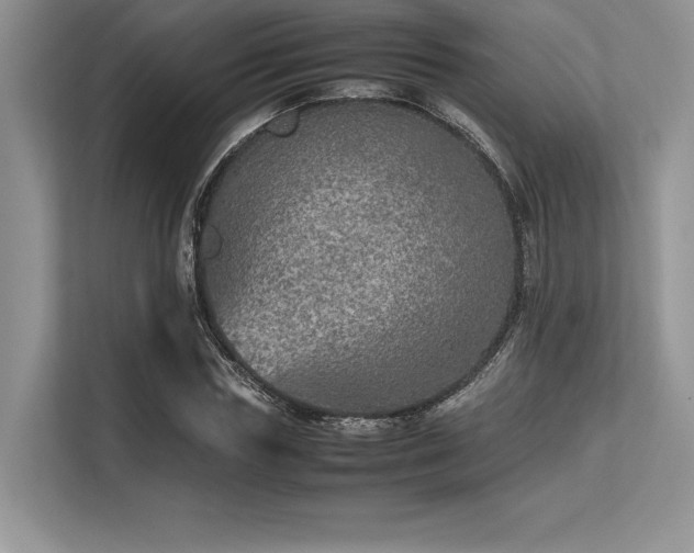 X0000113310827200909211140