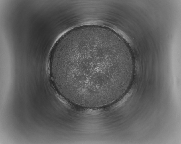 X0000113310830200909211140