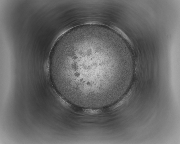 X0000113310831200909211140