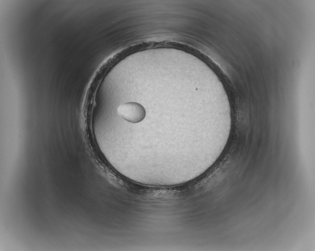 X0000113310832200909211140