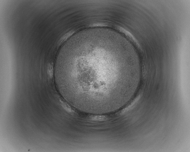 X0000113310833200909211140