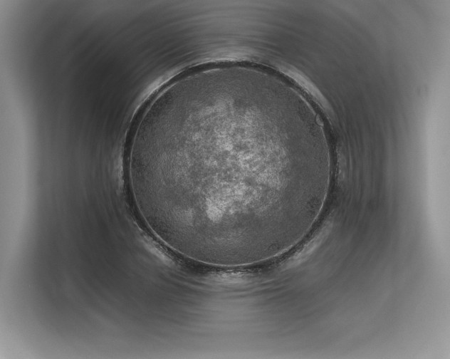 X0000113310834200909211140