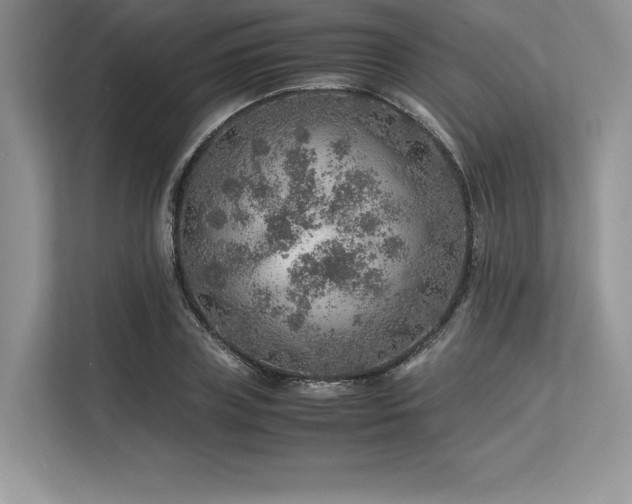 X0000113310835200909211140