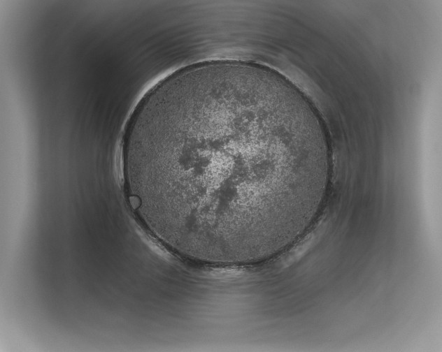 X0000113310838200909211140