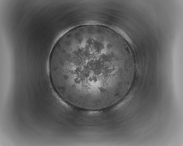 X0000113310839200909211140