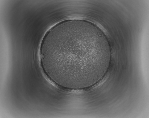 X0000113310840200909211140