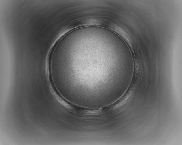 X0000113310843200909211140