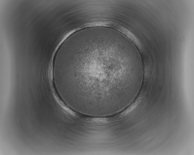 X0000113310844200909211140