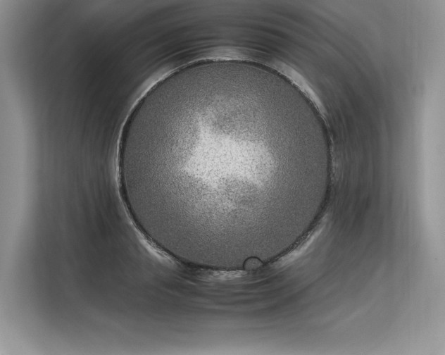 X0000113310845200909211140