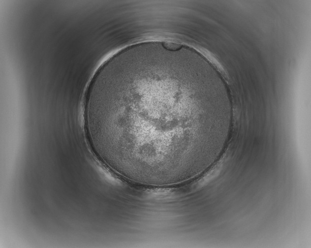 X0000113310846200909211140