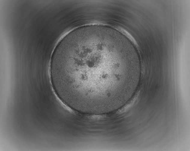 X0000113310847200909211140