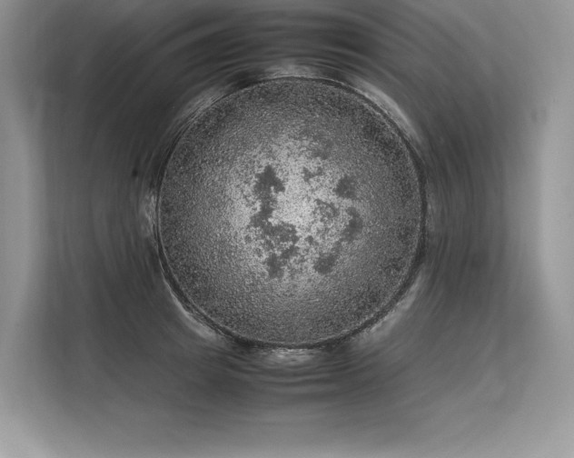 X0000113310849200909211140