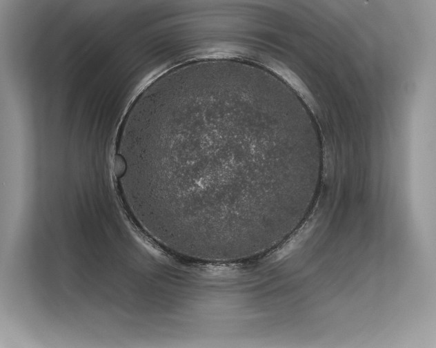 X0000113310850200909211140