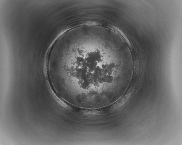 X0000113310851200909211140